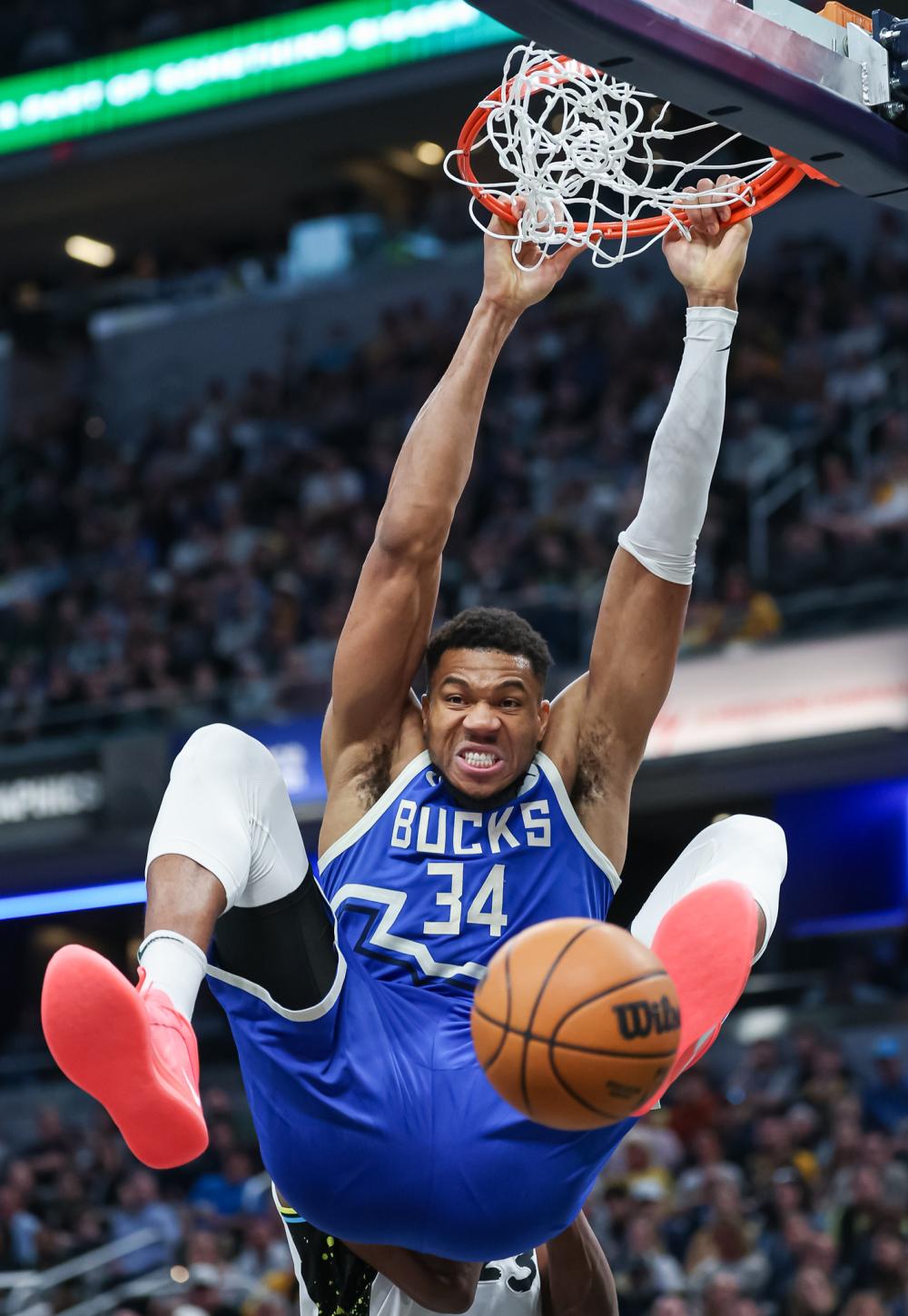 仅丰富了足 仅丰富了足